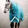 Amigo Bravo 12 Plus 100g Turnout Disc Front - Storm Green -Equestrian Supplies Shop amigo bravo storm green 1rdy