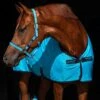 Amigo Headcollar - Delphinium