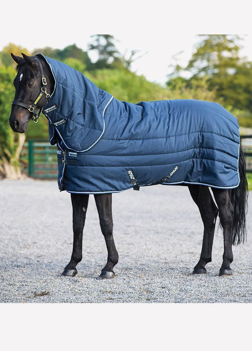 Amigo Stable Vari-Layer Plus Heavy - Navy/Blue & Black
