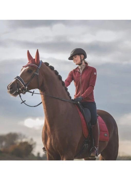 Anky Dressage Saddle Pad - Maroon - Image 2