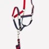 Anky Halter & Lead - Ink Blue