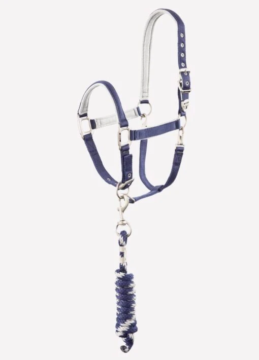 Anky Halter & Lead - Dark Blue