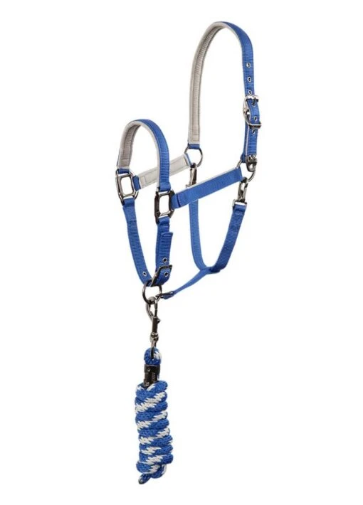 Anky Halter & Lead - Queens Blue