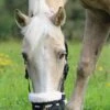 Shires Deluxe Comfort Grazing Muzzle - Black -Equestrian Supplies Shop deluxecomfort