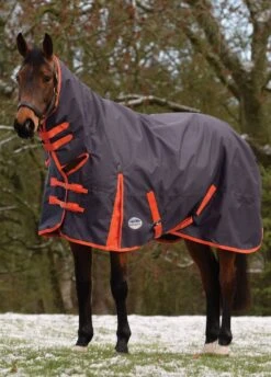 Weatherbeeta Comfitec Essential Combo Heavy Turnout- Iron Flame