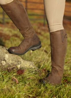Equestrian Supplies Shop -Equestrian Supplies Shop f.toggi cal choco2