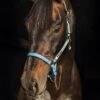 Horseware Fieldsafe Headcollar - Navy/Baby Blue