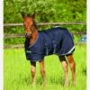 Amigo Foal Turnout/Stable Rug - Navy -Equestrian Supplies Shop fm 2013 04 05 07 06 07 84955