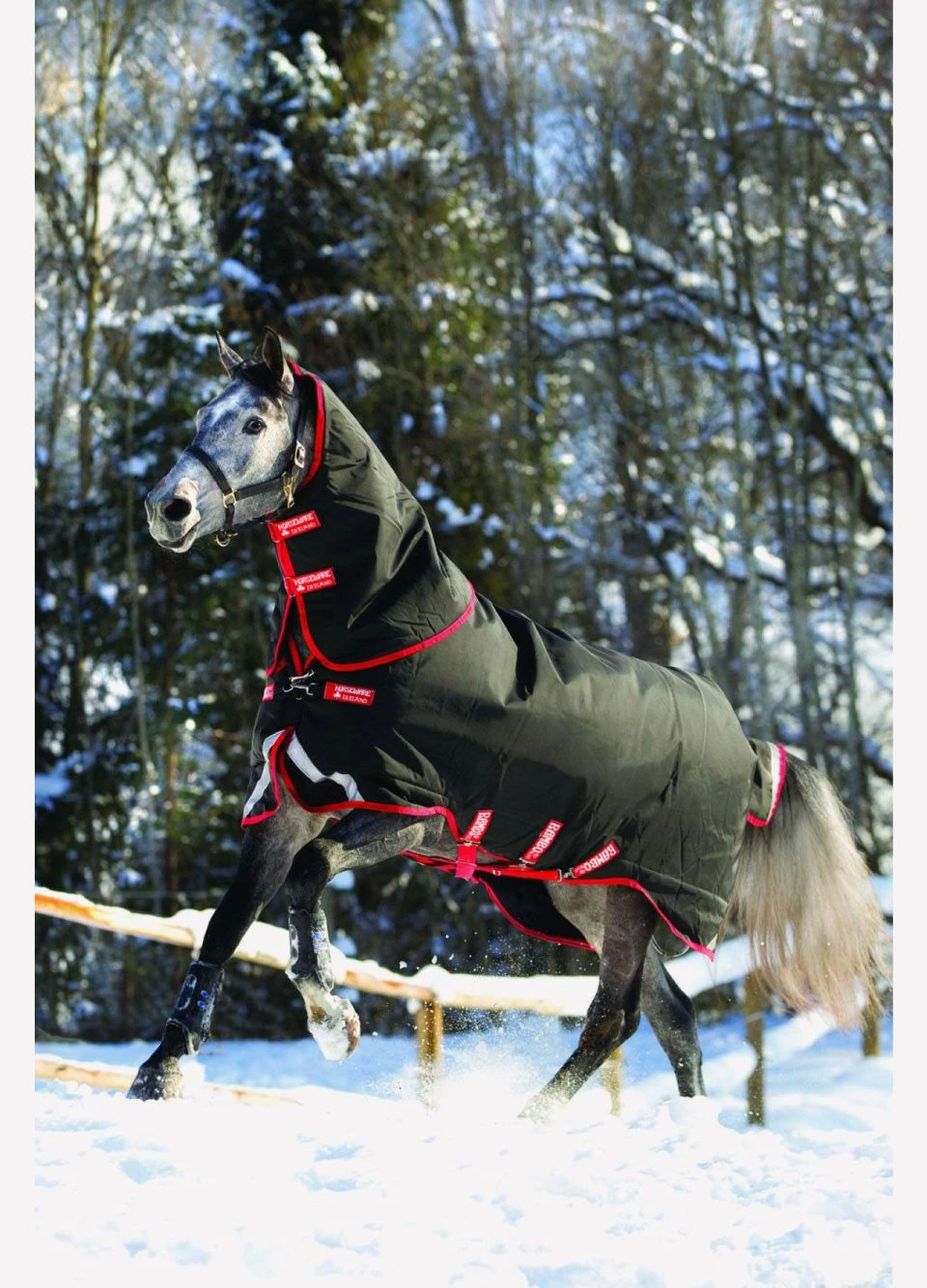 Rambo Supreme Vari-Layer Heavy Turnout Rug 450g - Black/Red - Image 5