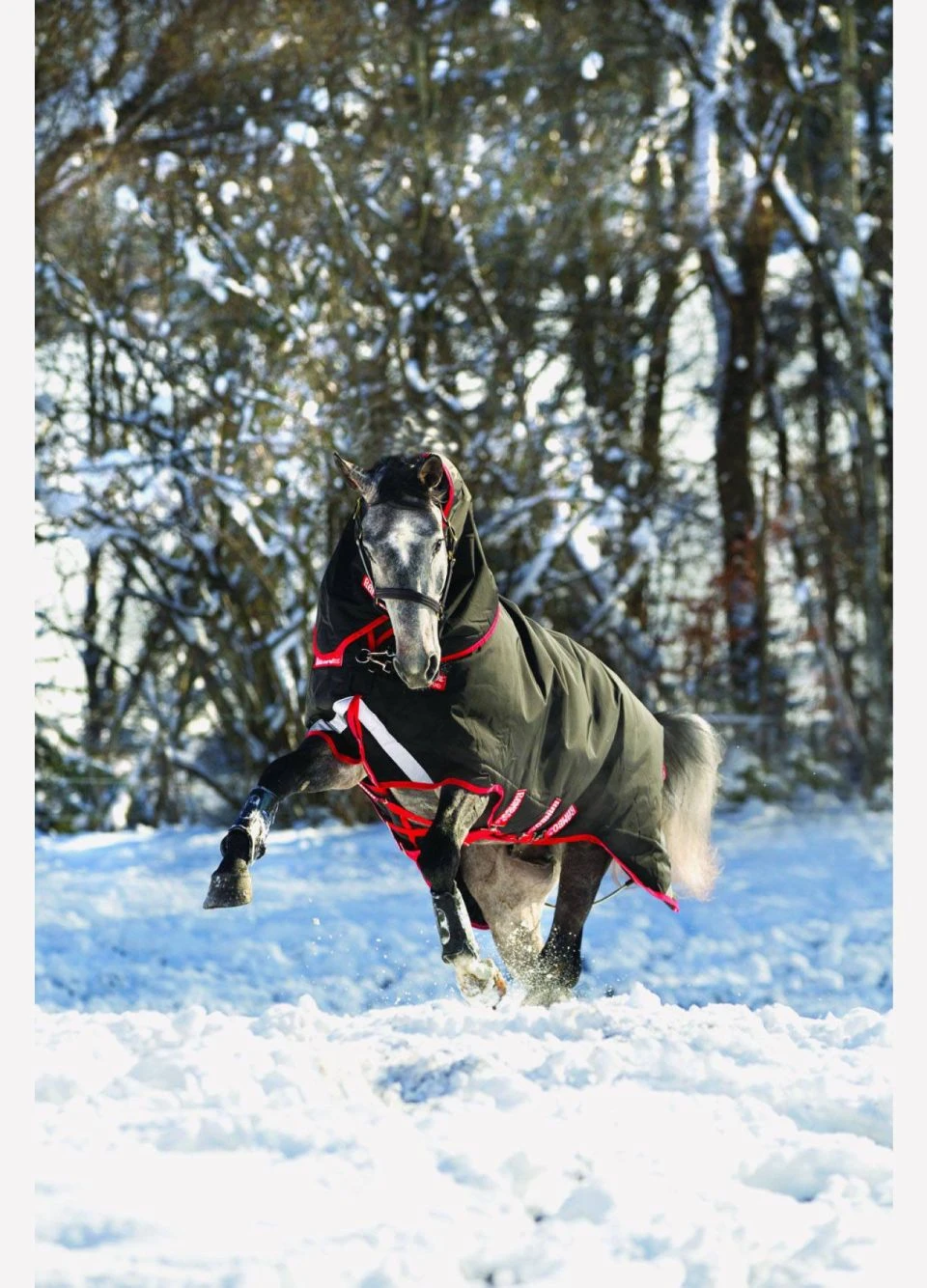 Rambo Supreme Vari-Layer Heavy Turnout Rug 450g - Black/Red - Image 3