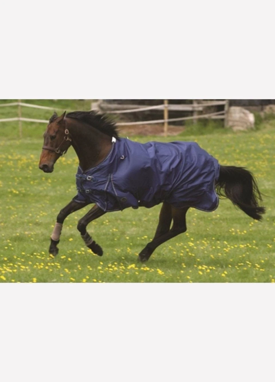 Mark Todd Lightweight Turnout Rug - Navy