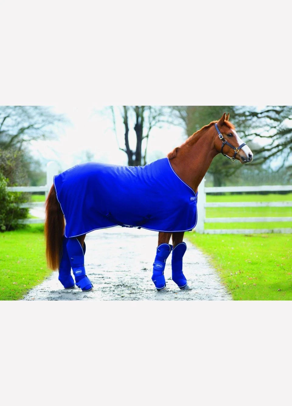 Amigo Travel Boots - Atlantic Blue - Image 2