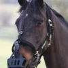 Greenguard Muzzle - Black -Equestrian Supplies Shop greenguardrdy