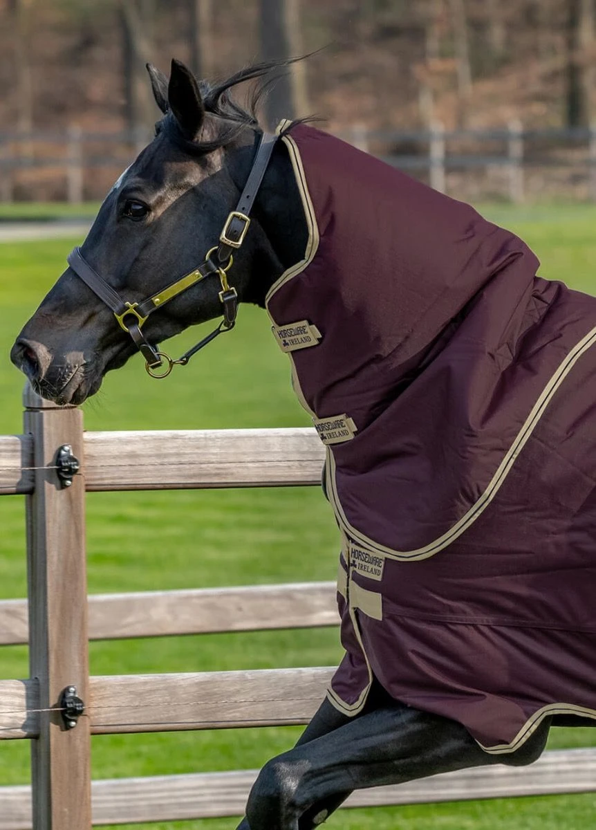 Amigo Hero Ripstop Plus 100g - Fig - Image 2