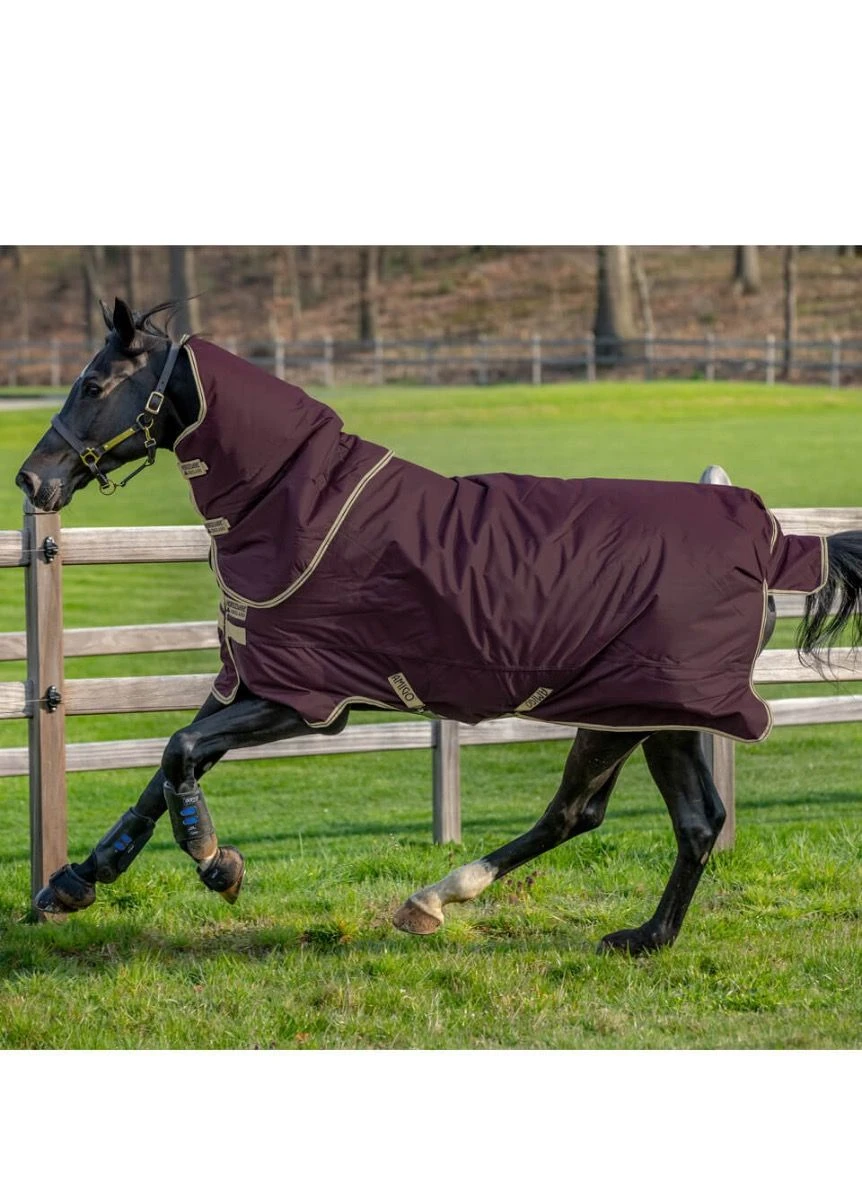 Amigo Hero Ripstop Plus 100g - Fig