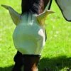 Amigo Fly Mask - Oatmeal -Equestrian Supplies Shop hw amigo fly mask oatmeal