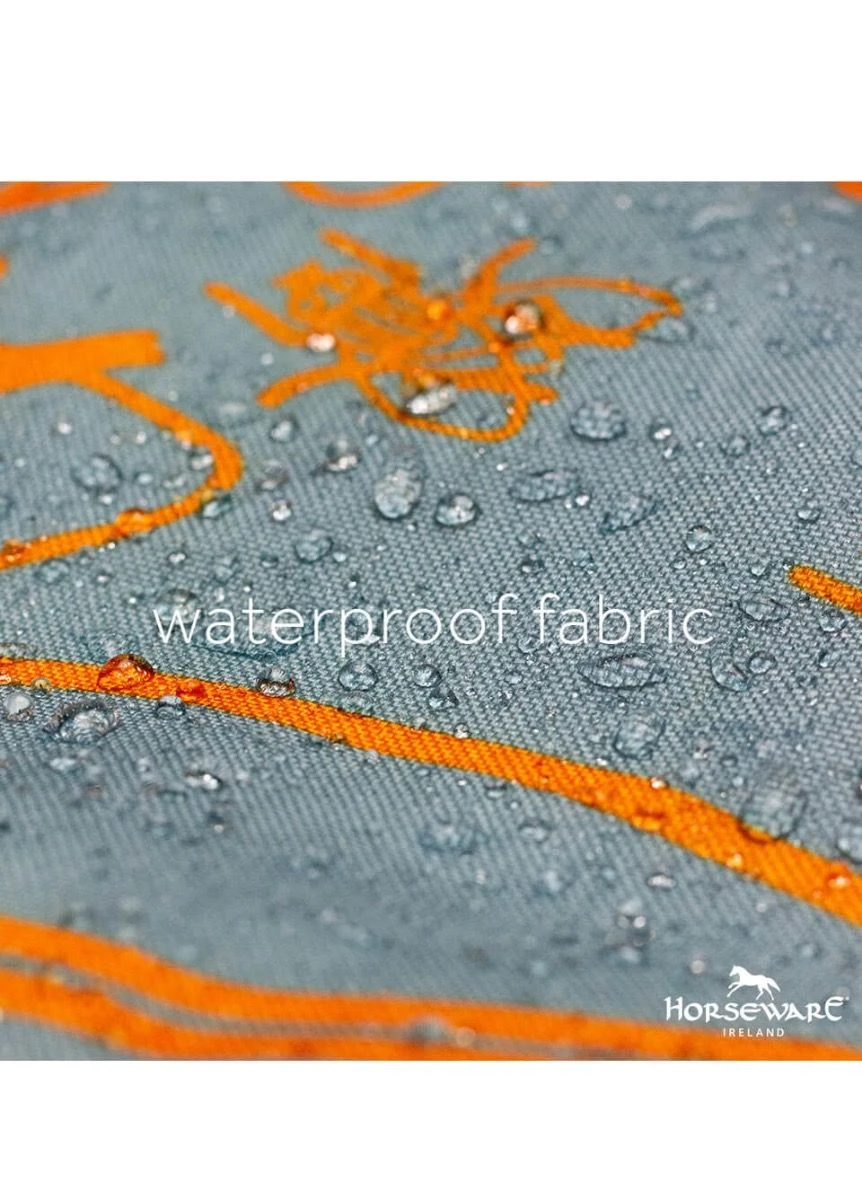 Amigo Three-In-One Evolution - Aqua/Orange - Image 3