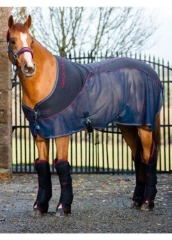 Rambo Sport Cooler - Navy/Burgundy