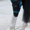 Ice-Vibe Hock Boots - Black -Equestrian Supplies Shop icevibe hock boots 1rdy