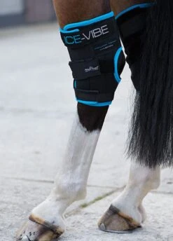 Ice-Vibe Hock Boots - Black