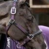 LeMieux Capella Headcollar - Fig -Equestrian Supplies Shop lemieux capella headcollar fig 1rdy