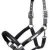 LeMieux Capella Headcollar - Grey -Equestrian Supplies Shop lemieux capella headcollar grey 1rdy