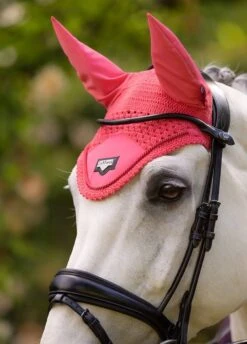 LeMieux Loire Fly Hood - Papaya -Equestrian Supplies Shop lemieux fly hood papaya 3rdy
