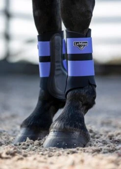 LeMieux Grafter Brushing Boots - Bluebell -Equestrian Supplies Shop lemieux grafter boot bluebell 5rdy