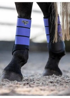 LeMieux Grafter Brushing Boots - Bluebell -Equestrian Supplies Shop lemieux grafter boot bluebell 6rdy