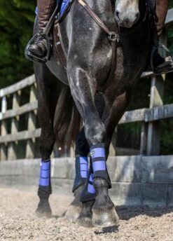 LeMieux Grafter Brushing Boots - Bluebell -Equestrian Supplies Shop lemieux grafter boot bluebell 7rdy