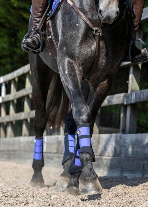 LeMieux Grafter Brushing Boots - Bluebell - Image 7