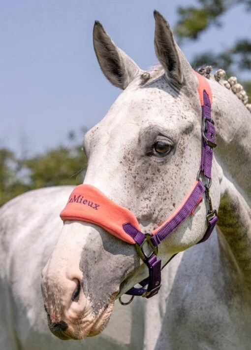 LeMieux Vogue Fleece Headcollar & Leadrope - Papaya - Image 2