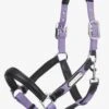 LeMieux Capella Headcollar - Iris -Equestrian Supplies Shop lm capella iris 1rdy