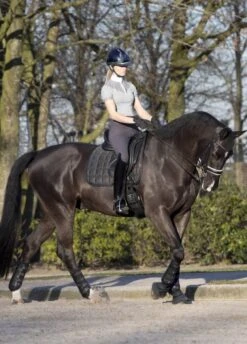LeMieux Carbon Mesh Dressage Square - Black -Equestrian Supplies Shop lm carbon mesh dressage black 2rdy