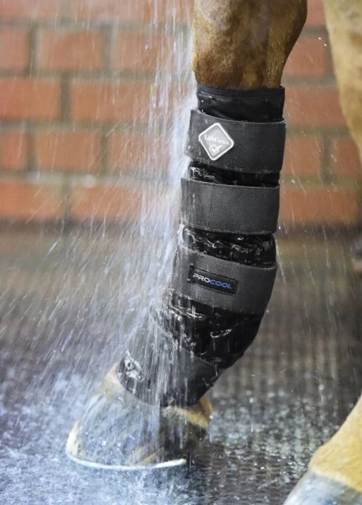 LeMieux Cold Water Boots - Black - Image 2