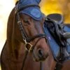 LeMieux Classic Fly Hood - Atlantic