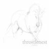 LeMieux Vogue Fleece Headcollar & Leadrope - Mist