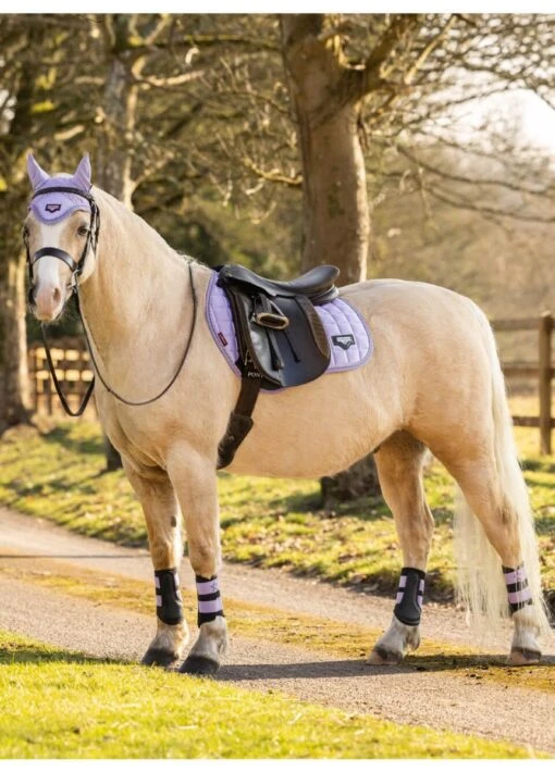 LeMieux Junior Loire Fly Hood - Wisteria - Image 2