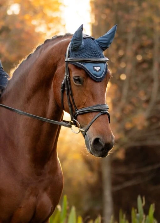 LeMieux Loire Fly Hood - Atlantic - Image 2