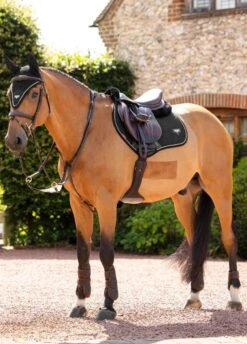 LeMieux Puissance CC Square - Black