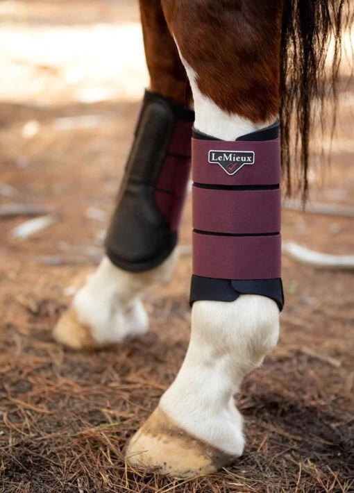 LeMieux Grafter Brushing Boots - Rioja - Image 6
