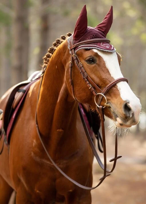 LeMieux Classic Fly Hood - Rioja - Image 2