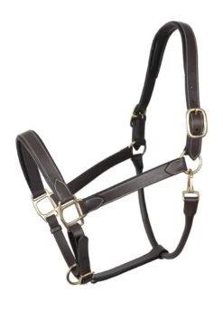 Mark Todd Leather Headcollar - Havana/White -Equestrian Supplies Shop mark todd leather headcollar 2rdy