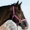 KM Elite ThinLine Flexible Filly Grazing Muzzle - Clear -Equestrian Supplies Shop muzzlebreatherdy