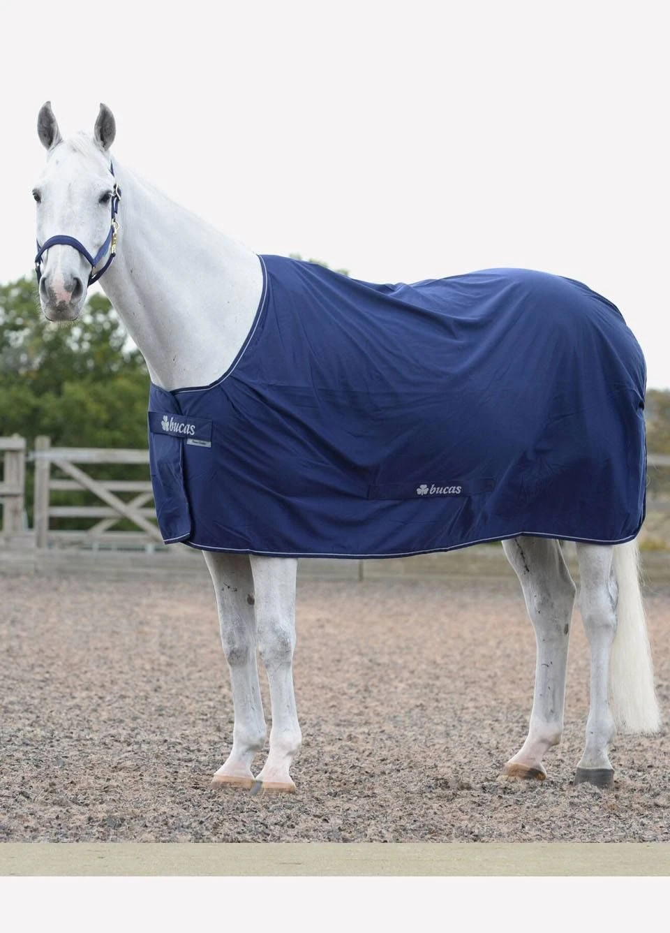 New Bucas Power Cooler - Navy - Image 2