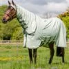 Rambo Hoody - Green/Sage -Equestrian Supplies Shop rambo hoody green sage 1rdy