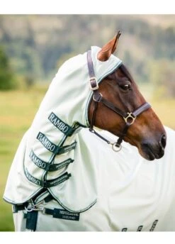 Rambo Hoody - Green/Sage -Equestrian Supplies Shop rambo hoody green sage 4rdy