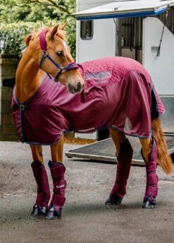 Rambo Travel Series - Burgundy/Teal/Navy