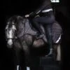 Amigo Reflectech Competition Sheet - Grey/Black -Equestrian Supplies Shop reflectechrdy