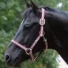Weatherbeeta Coordinate Headcollar - Ruby -Equestrian Supplies Shop rubyheadcollar